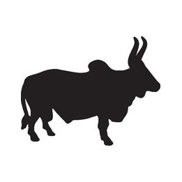 Cattle Longhorn Bull Stickers – Farm Animal Decals (2-Pack)