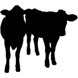 Cattle Silhouette Stickers – Cow Farm Decals (2-Pack)