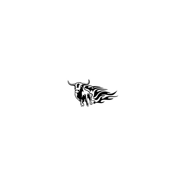 Flaming Bull Longhorn Cattle Stickers – Farm Decals (2-Pack)