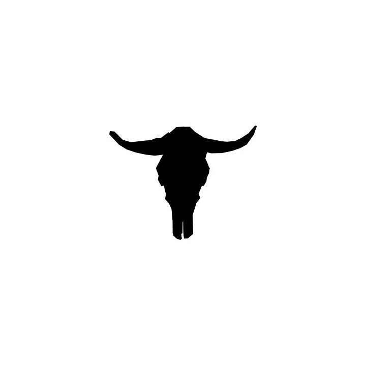 Longhorn Skull Stickers – Western Cow Skull Decals (2-Pack)