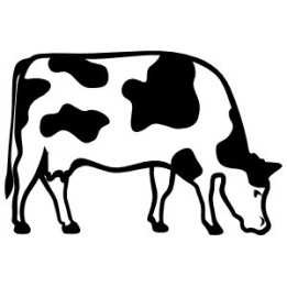 Cow Stickers – Grazing Cattle Farm Animal Decals (2-Pack)