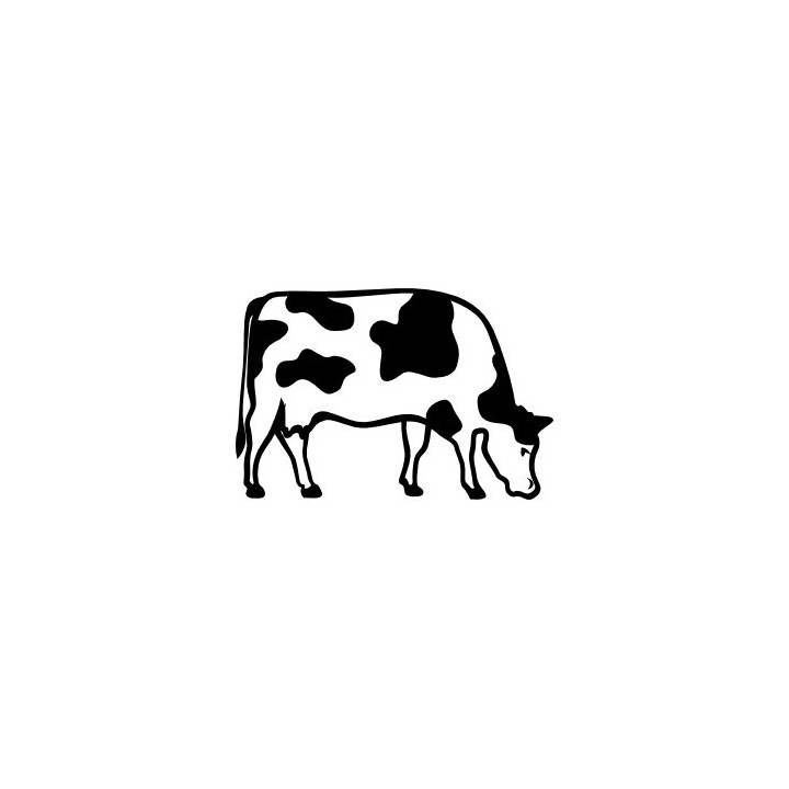 Cow Stickers – Grazing Cattle Farm Animal Decals (2-Pack)