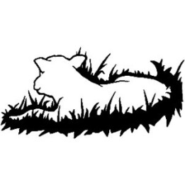 Brahman Cattle Stickers – Bull Cow Decals (2-Pack)