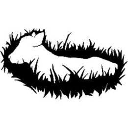 Highland Cow Lying in Grass Stickers – Cattle Decals (2-Pack)