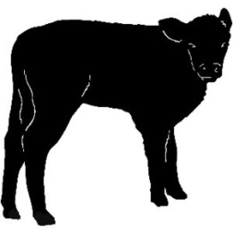 Calf Silhouette Stickers – Baby Cow Farm Decals (2-Pack)