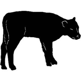 Calf Silhouette Stickers – Farm Cattle Cow Decals (2-Pack)