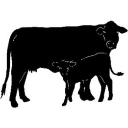 Cow & Calf Stickers – Cattle Silhouette Decals (2-Pack)