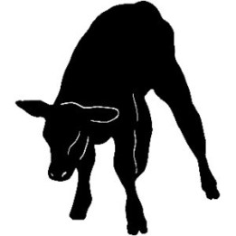 Cattle Calf Silhouette Stickers – Farm Animal Decals (2-Pack)