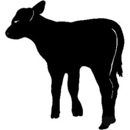 Calf Silhouette Stickers – Farm Cattle Decals (2-Pack)
