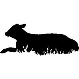 Cow Calf Lying Down Stickers – Farm Cattle Decals (2-Pack)