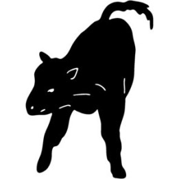 Cow Stickers – Farm Animal Cattle Decals (2-Pack)