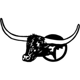 Longhorn Cattle Stickers – Bull Head Decals (2-Pack)