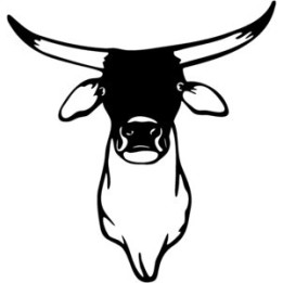 Longhorn Bull Head Stickers – Western Cattle Decals (2-Pack)