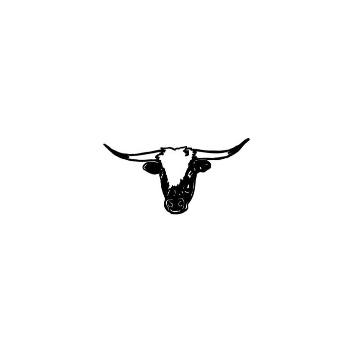 Longhorn Cattle Stickers – Bull Head Farm Decals (2-Pack)