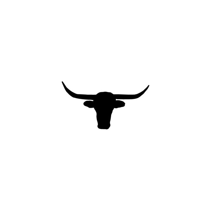Longhorn Cattle Stickers – Bull Silhouette Decals (2-Pack)