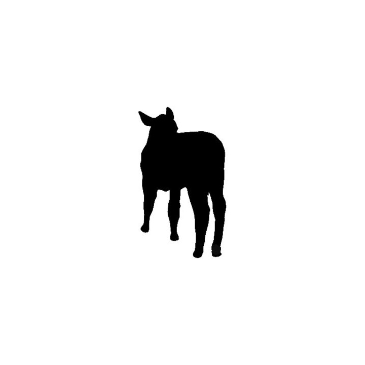 Calf Silhouette Stickers – Baby Cow Farm Decals (2-Pack)