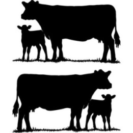 Cow and Calf Stickers – Cattle Silhouette Decals (2-Pack)