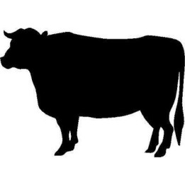 Cattle Stickers – Cow Bull Steer Silhouette Decals (2-Pack)