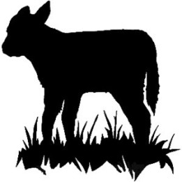 Calf Stickers – Baby Cattle Silhouette Farm Decals (2-Pack)