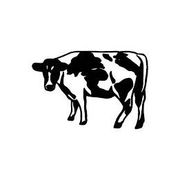 Cow Stickers – Dairy Cattle Farm Animal Decals (2-Pack)