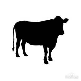 Cow Silhouette Stickers – Cattle Farm Animal Decals (2-Pack)