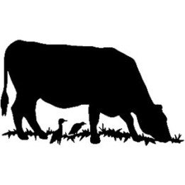 Grazing Cow & Bird Stickers – Cattle Silhouette Decals (2-Pack)