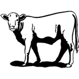Cow Stickers – Cattle Farm Animal Decals (2-Pack)