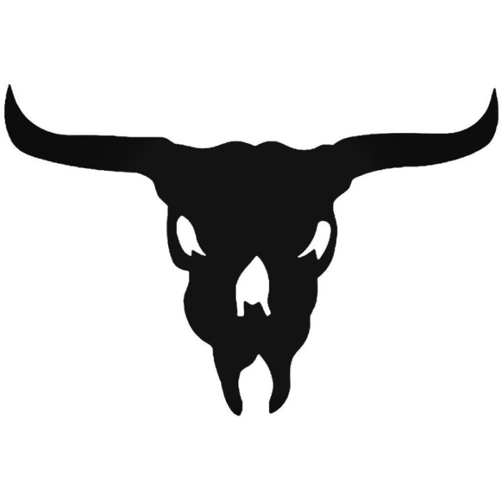 Longhorn Skull Stickers – Bull Skull Western Decals (2-Pack)