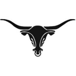 Longhorn Bull Stickers – Cattle Farm Country Decals (2-Pack)