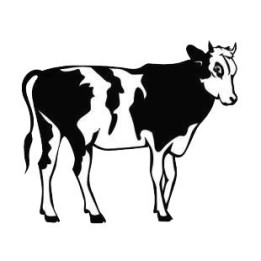 Cow Stickers – Dairy Cattle Farm Animal Decals (2-Pack)