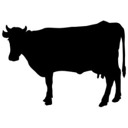 Cow Silhouette Stickers – Farm Cattle Decals (2-Pack)