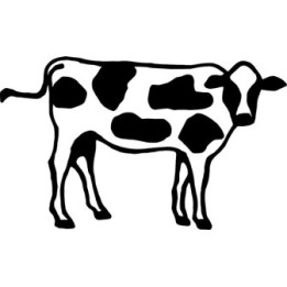 Cow Stickers – Dairy Cattle Farm Animal Decals (2-Pack)