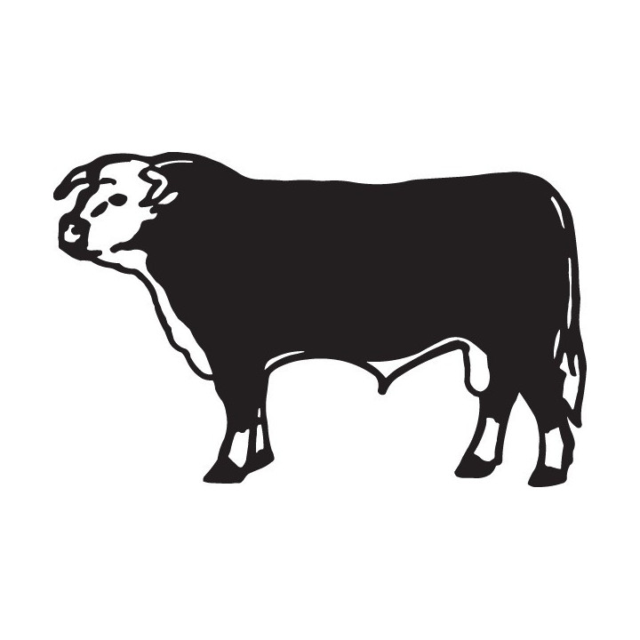 Bull Stickers – Hereford Beef Cattle Decals (2-Pack)