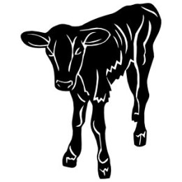 Calf Stickers – Baby Cow Farm Animal Decals (2-Pack)