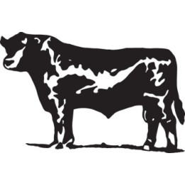 Cattle Cow Stickers – Farm Animal Decals (2-Pack)