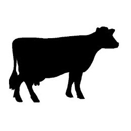 Cow Stickers – Farm Animal Cattle Decals (2-Pack)