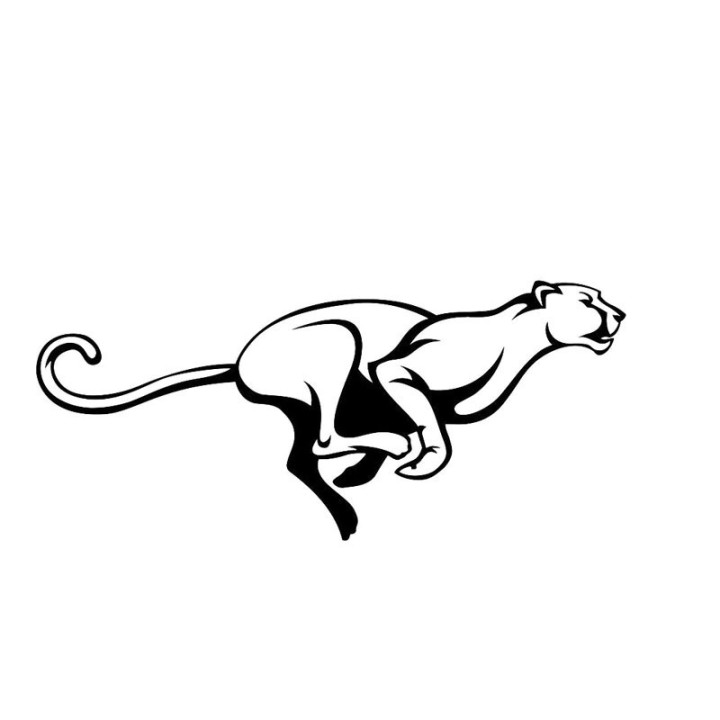 Cheetah Vinyl Decal Sticker V11 - DecalsHouse