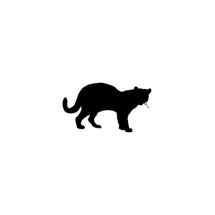 Cheetah Vinyl Decal Sticker V21 - DecalsHouse