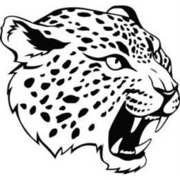 Cheetah Vinyl Decal Sticker V24 - DecalsHouse