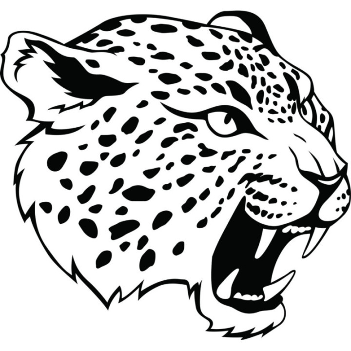 Cheetah Vinyl Decal Sticker V24 - DecalsHouse