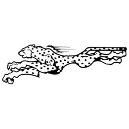 Cheetah Vinyl Decal Sticker V26 - DecalsHouse