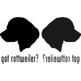 Buy Got Rottweiler Dog Online