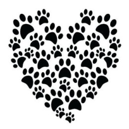 Cheetah Vinyl Decal Sticker V29 - DecalsHouse