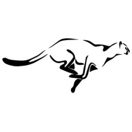 Cheetah Vinyl Decal Sticker V32 - DecalsHouse
