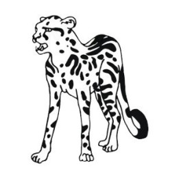 Cheetah Vinyl Decal Sticker V33 - DecalsHouse