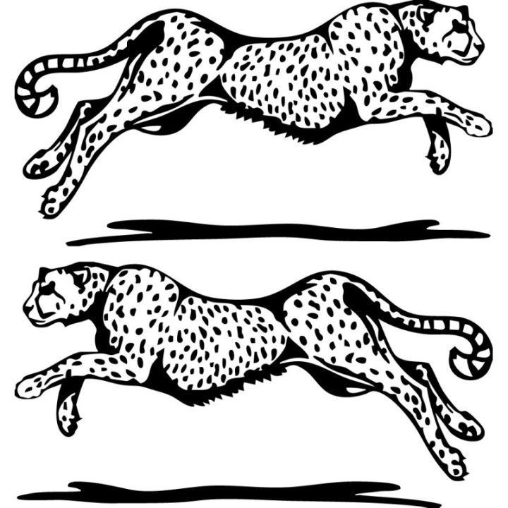 Cheetah V5 Stickers – Speed Silhouette Animal Decals (2-Pack)