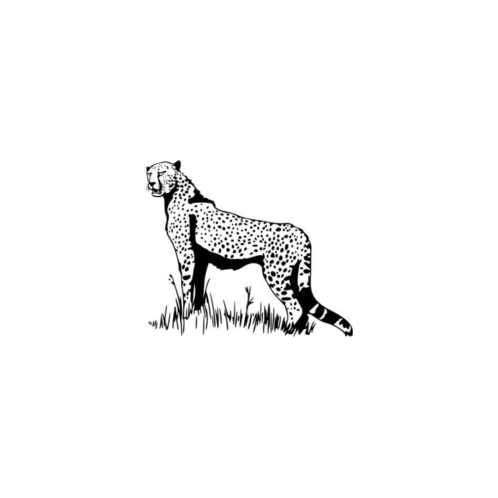 Cheetah Vinyl Decal Sticker - DecalsHouse