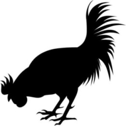 Rooster Chicken Stickers – Cockerel Silhouette Decals (2-Pack)