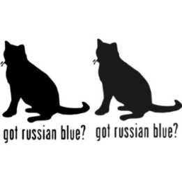 Buy Got Russian Blue Cat Online