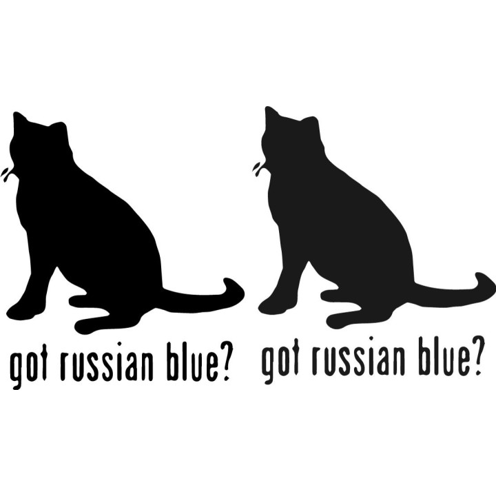 Buy Got Russian Blue Cat Online